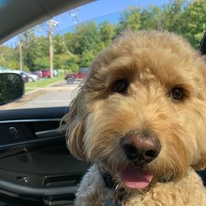 Meet your Posher, Kerri